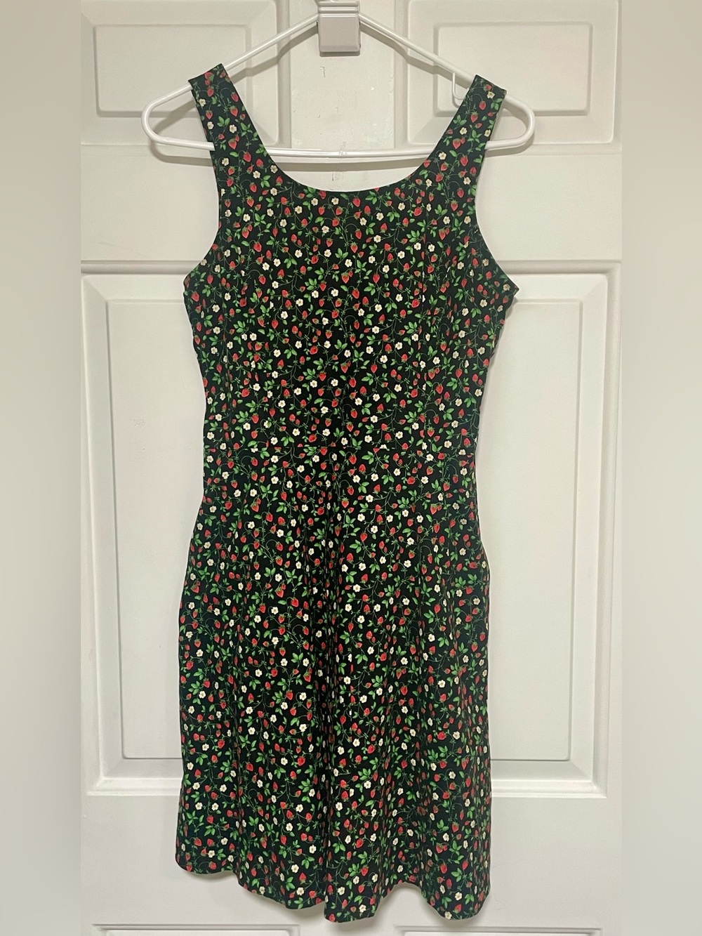Women's Black Strawberry Patch Skater Dress